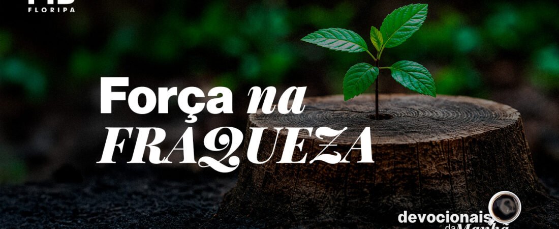 Devocional da Manhã do dia 05/06/2026 | FORÇA NA FRAQUEZA