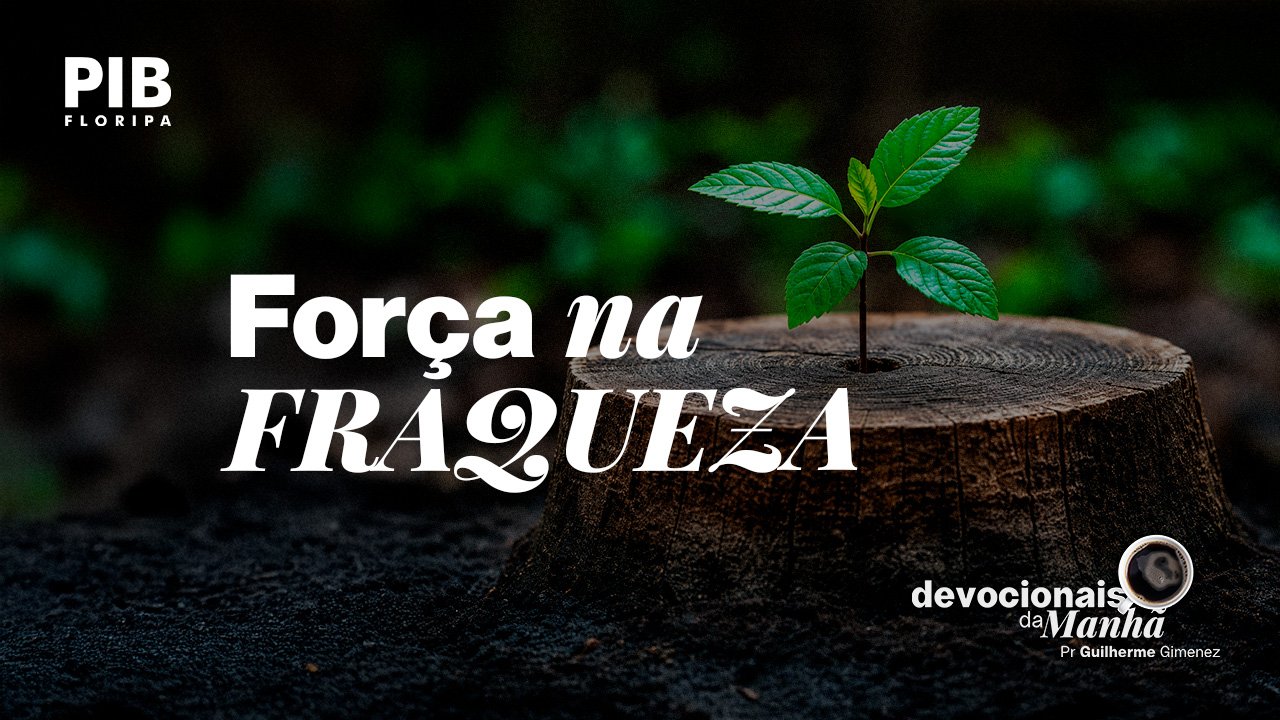 Devocional da Manhã do dia 05/06/2026 | FORÇA NA FRAQUEZA