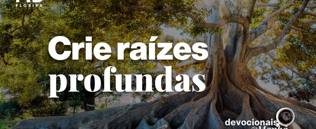 Devocional da manhã do dia 06/07/2026 – Crie raízes profundas