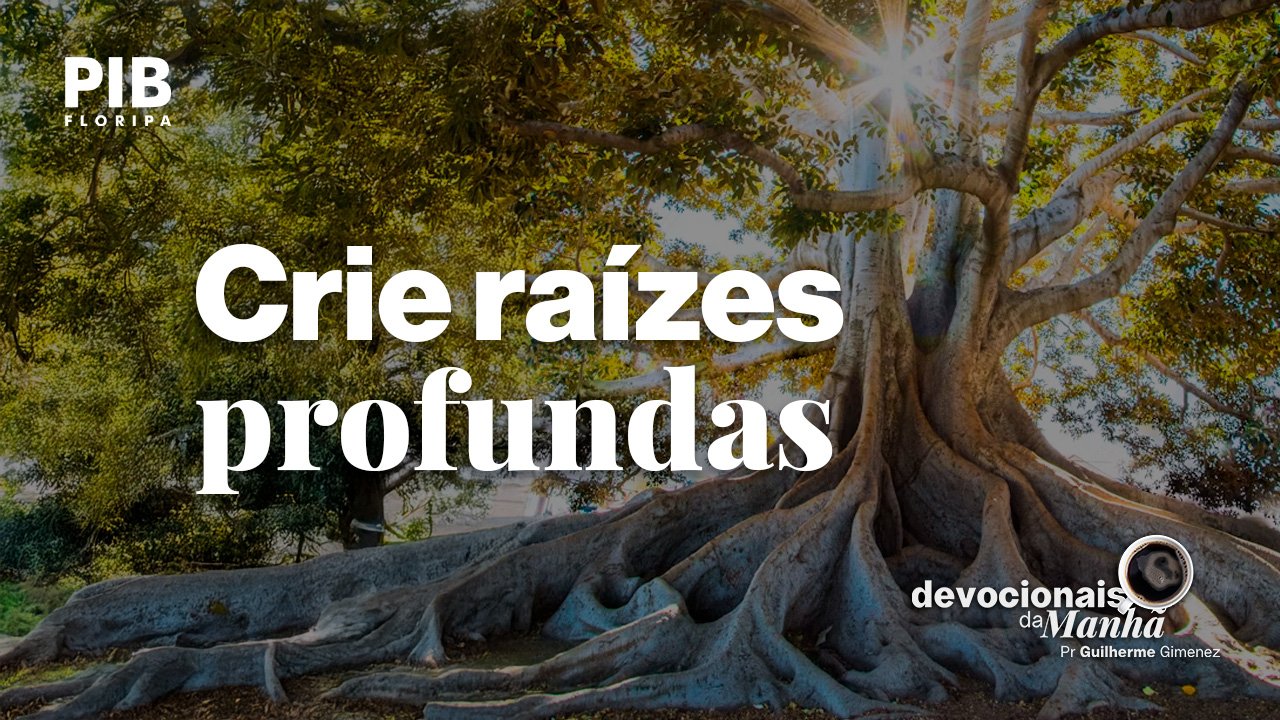 Devocional da manhã do dia 06/07/2026 – Crie raízes profundas