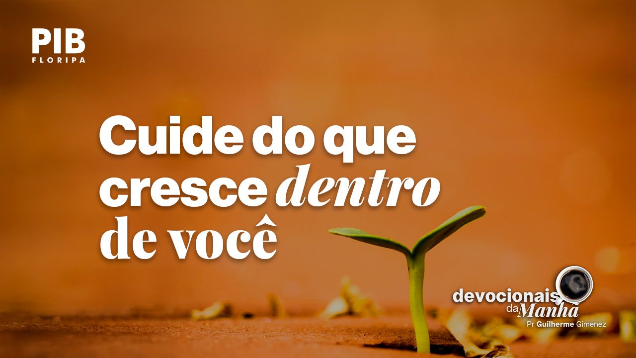 Devocional da manhã do dia 14/07/2026 – Cuide do que cresce dentro de você