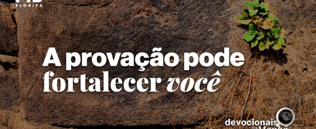Devocional da manhã do dia 22/07/2026 – A provação pode fortalecer você