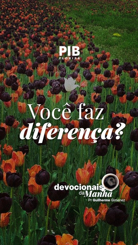 Devocionais da Manhã